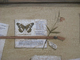 Бабочки фрагмент 3